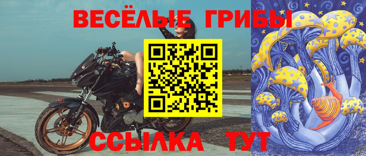 Псилоцибиновые грибы MAGIC MUSHROOMS Лесосибирск