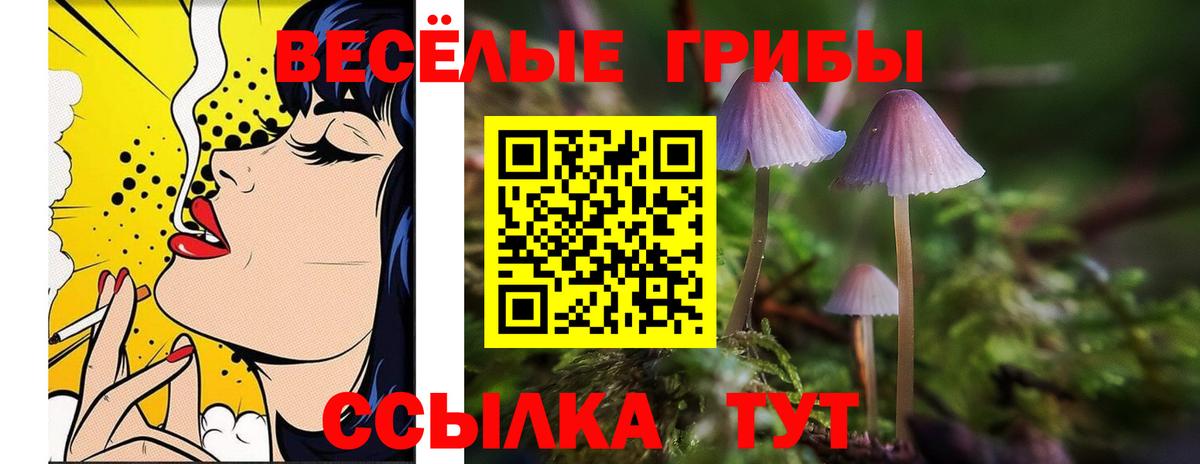 Галлюциногенные грибы Cubensis  Вход с VPN  Лесосибирск 